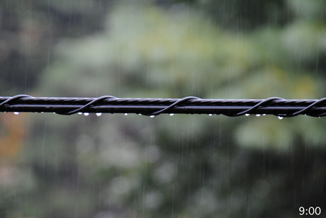 雨