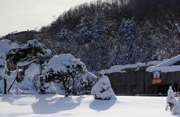 雪