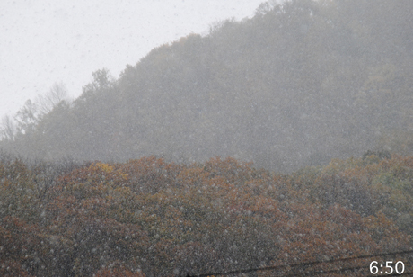 初雪